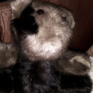 Chinchilla teddy bear